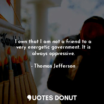 I own that I am not a friend to a very energetic government. It is always oppressive.