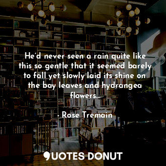  He’d never seen a rain quite like this so gentle that it seemed barely to fall y... - Rose Tremain - Quotes Donut