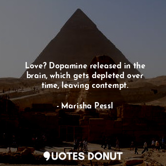  Love? Dopamine released in the brain, which gets depleted over time, leaving con... - Marisha Pessl - Quotes Donut