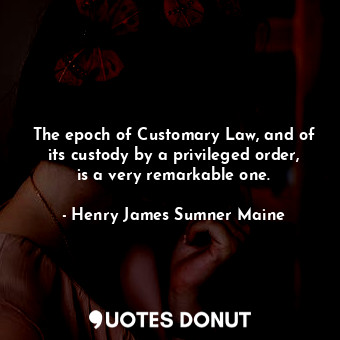 The epoch of Customary Law, and of its custody by a privileged order, is a very remarkable one.