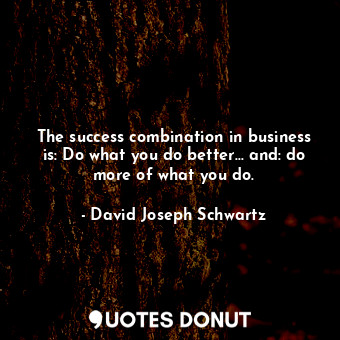  The success combination in business is: Do what you do better... and: do more of... - David Joseph Schwartz - Quotes Donut