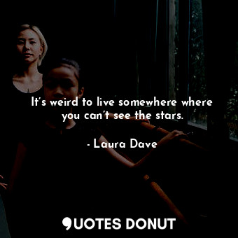  It’s weird to live somewhere where you can’t see the stars.... - Laura Dave - Quotes Donut