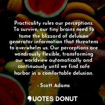 Practicality rules our perceptions. To survive, our tiny brains need to tame the blizzard of delusion generator information that threatens to overwhelm us. Our perceptions are wondrously flexible, transforming our worldview automatically and continuously until we find safe harbor in a comfortable delusion.