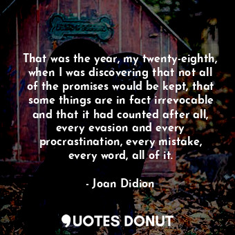 That was the year, my twenty-eighth, when I was discovering that not all of the promises would be kept, that some things are in fact irrevocable and that it had counted after all, every evasion and every procrastination, every mistake, every word, all of it.