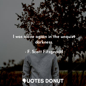  I was alone again in the unquiet darkness.... - F. Scott Fitzgerald - Quotes Donut