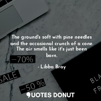  The ground's soft with pine needles and the occasional crunch of a cone. The air... - Libba Bray - Quotes Donut