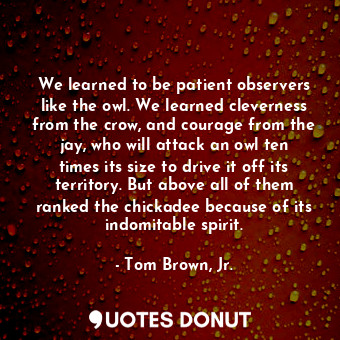  We learned to be patient observers like the owl. We learned cleverness from the ... - Tom Brown, Jr. - Quotes Donut