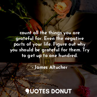  count all the things you are grateful for. Even the negative parts of your life.... - James Altucher - Quotes Donut
