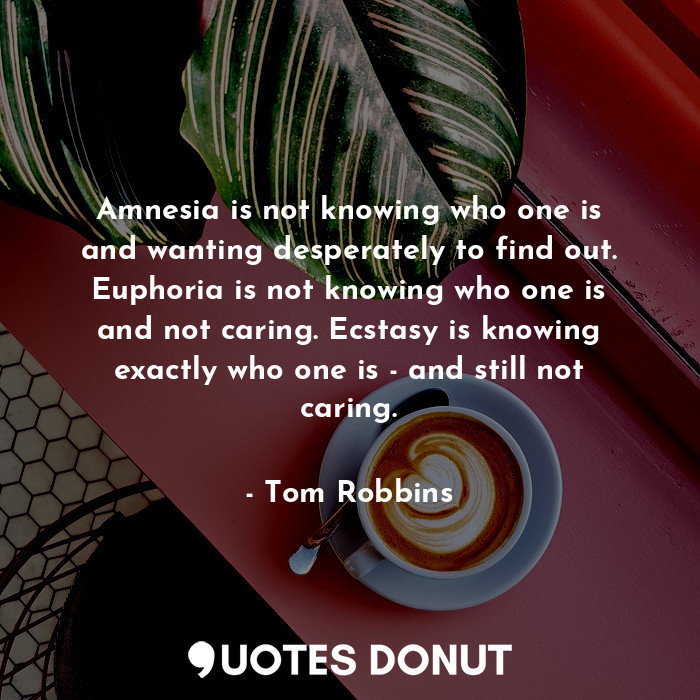 Amnesia is not knowing who one is and wanting desperately to find out. Euphoria ... - Tom Robbins - Quotes Donut