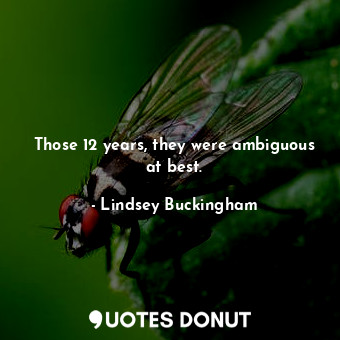  Those 12 years, they were ambiguous at best.... - Lindsey Buckingham - Quotes Donut