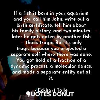  If a fish is born in your aquarium and you call him John, write out a birth cert... - Eckhart Tolle - Quotes Donut