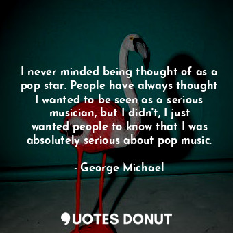 I never minded being thought of as a pop star. People have always thought I wanted to be seen as a serious musician, but I didn&#39;t, I just wanted people to know that I was absolutely serious about pop music.