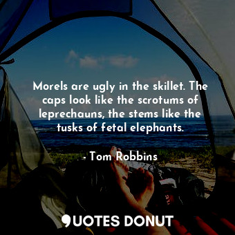  Morels are ugly in the skillet. The caps look like the scrotums of leprechauns, ... - Tom Robbins - Quotes Donut