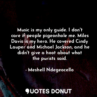 Music is my only guide. I don&#39;t care if people pigeonhole me. Miles Davis is my hero. He covered Cindy Lauper and Michael Jackson, and he didn&#39;t give a hoot about what the purists said.