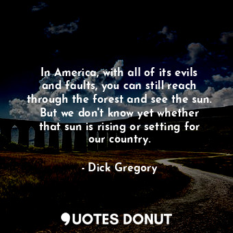 In America, with all of its evils and faults, you can still reach through the forest and see the sun. But we don&#39;t know yet whether that sun is rising or setting for our country.