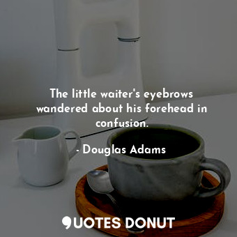 The little waiter's eyebrows wandered about his forehead in confusion.