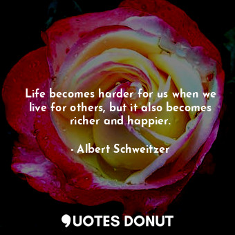  Life becomes harder for us when we live for others, but it also becomes richer a... - Albert Schweitzer - Quotes Donut