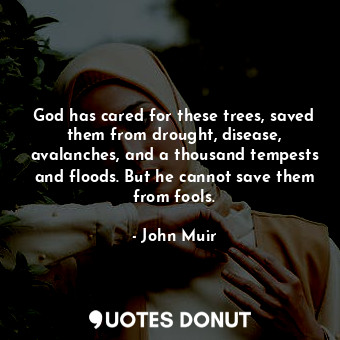 God has cared for these trees, saved them from drought, disease, avalanches, and a thousand tempests and floods. But he cannot save them from fools.