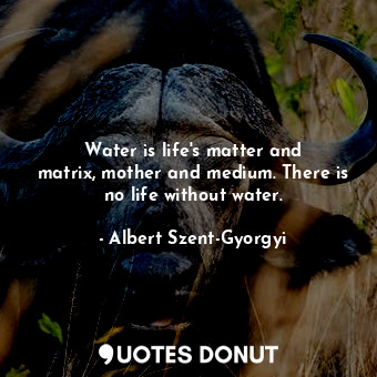 Water is life&#39;s matter and matrix, mother and medium. There is no life without water.