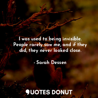 I was used to being invisible. People rarely saw me, and if they did, they never looked close.