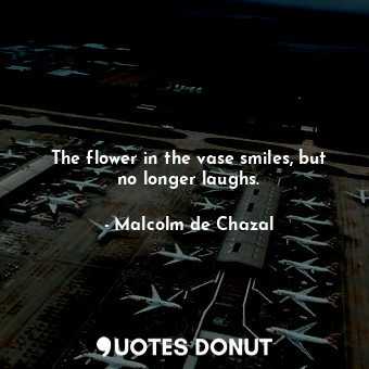  The flower in the vase smiles, but no longer laughs.... - Malcolm de Chazal - Quotes Donut