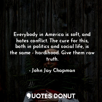  Everybody in America is soft, and hates conflict. The cure for this, both in pol... - John Jay Chapman - Quotes Donut