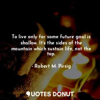 To live only for some future goal is shallow. It’s the sides of the mountain which sustain life, not the top.