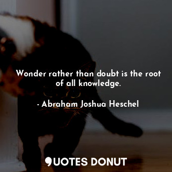  Wonder rather than doubt is the root of all knowledge.... - Abraham Joshua Heschel - Quotes Donut