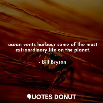  ocean vents harbour some of the most extraordinary life on the planet.... - Bill Bryson - Quotes Donut