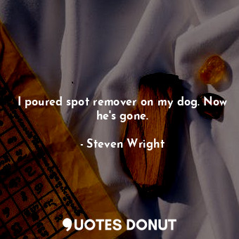  I poured spot remover on my dog. Now he&#39;s gone.... - Steven Wright - Quotes Donut