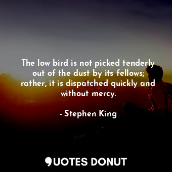  The low bird is not picked tenderly out of the dust by its fellows; rather, it i... - Stephen King - Quotes Donut