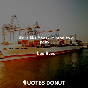  Life is like Sanskrit read to a pony.... - Lou Reed - Quotes Donut