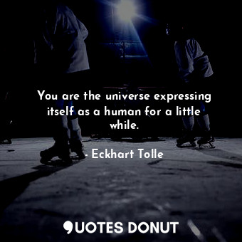 You are the universe expressing itself as a human for a little while.