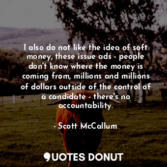 I also do not like the idea of soft money, these issue ads - people don&#39;t know where the money is coming from, millions and millions of dollars outside of the control of a candidate - there&#39;s no accountability.
