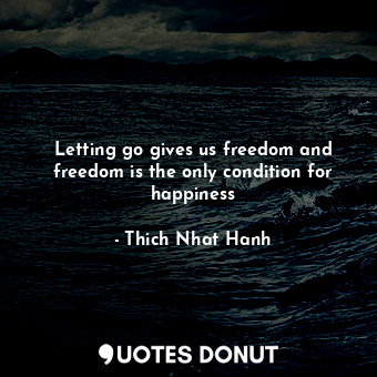 Letting go gives us freedom and freedom is the only condition for happiness