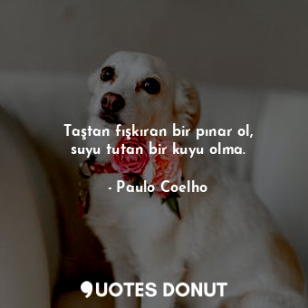  Taştan fışkıran bir pınar ol, suyu tutan bir kuyu olma.... - Paulo Coelho - Quotes Donut