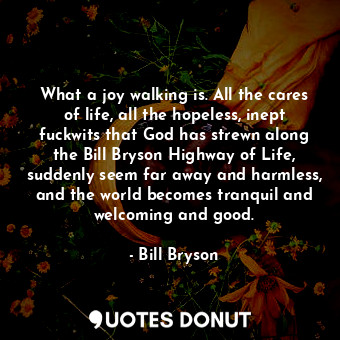 What a joy walking is. All the cares of life, all the hopeless, inept fuckwits that God has strewn along the Bill Bryson Highway of Life, suddenly seem far away and harmless, and the world becomes tranquil and welcoming and good.