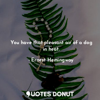  You have that pleasant air of a dog in heat.... - Ernest Hemingway - Quotes Donut