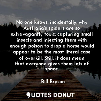 No one knows, incidentally, why Australia's spiders are so extravagantly toxic; capturing small insects and injecting them with enough poison to drop a horse would appear to be the most literal case of overkill. Still, it does mean that everyone gives them lots of space.