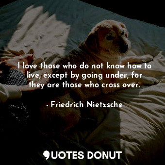  I love those who do not know how to live, except by going under, for they are th... - Friedrich Nietzsche - Quotes Donut