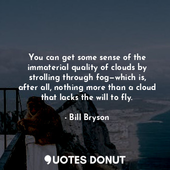 You can get some sense of the immaterial quality of clouds by strolling through fog—which is, after all, nothing more than a cloud that lacks the will to fly.