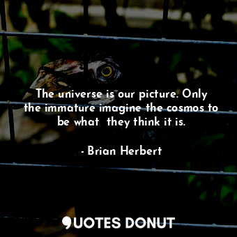 The universe is our picture. Only the immature imagine the cosmos to be what  they think it is.