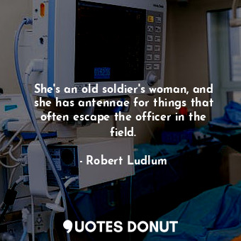 She's an old soldier's woman, and she has antennae for things that often escape the officer in the field.