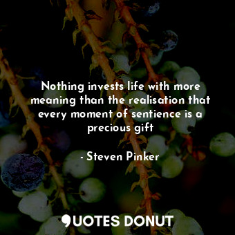  Nothing invests life with more meaning than the realisation that every moment of... - Steven Pinker - Quotes Donut