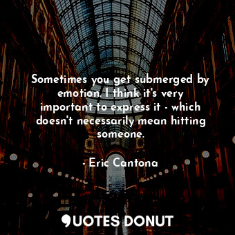 Sometimes you get submerged by emotion. I think it&#39;s very important to express it - which doesn&#39;t necessarily mean hitting someone.