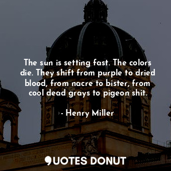 The sun is setting fast. The colors die. They shift from purple to dried blood, from nacre to bister, from cool dead grays to pigeon shit.
