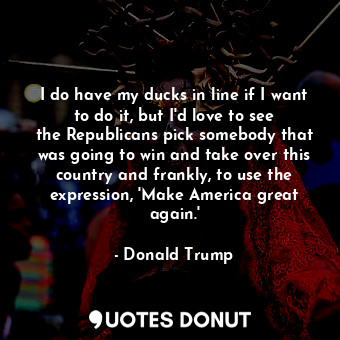 I do have my ducks in line if I want to do it, but I&#39;d love to see the Republicans pick somebody that was going to win and take over this country and frankly, to use the expression, &#39;Make America great again.&#39;