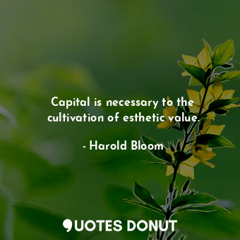 Capital is necessary to the cultivation of esthetic value.