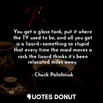 You get a glass tank, put it where the TV used to be, and all you get is a lizard—something so stupid that every time the maid moves a rock the lizard thinks it’s been relocated miles away.