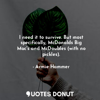 I need it to survive. But most specifically, McDonalds Big Mac&#39;s and McDoubles (with no pickles).